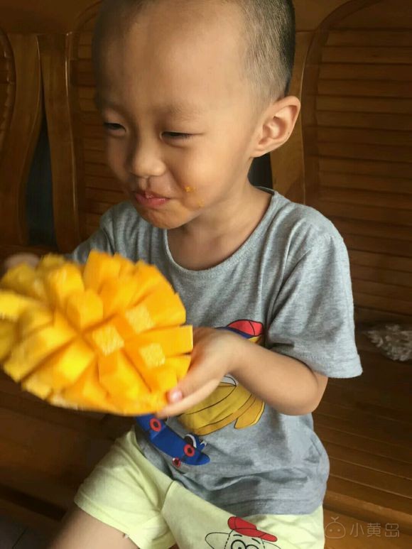 有蓝莓采摘基地？