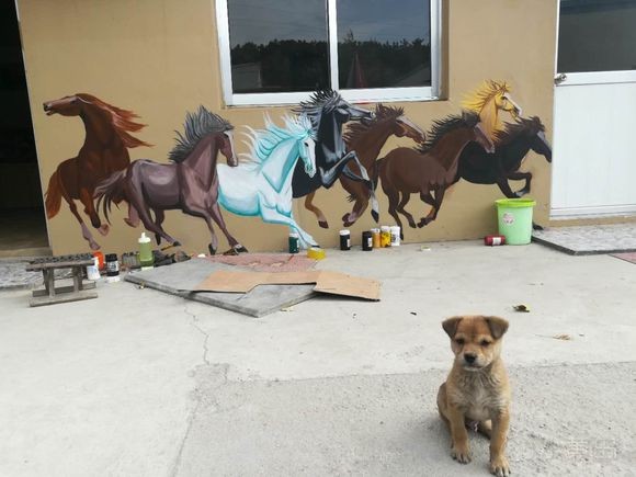 有需要墙绘的老板吗，收费不高，女生。