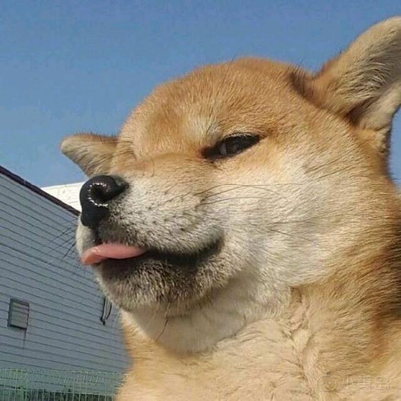 收个电动车或者自行车