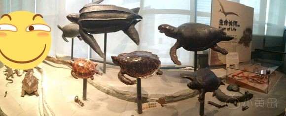 太行山的酒吧开业了吗？可以看足球吗？老铁们！