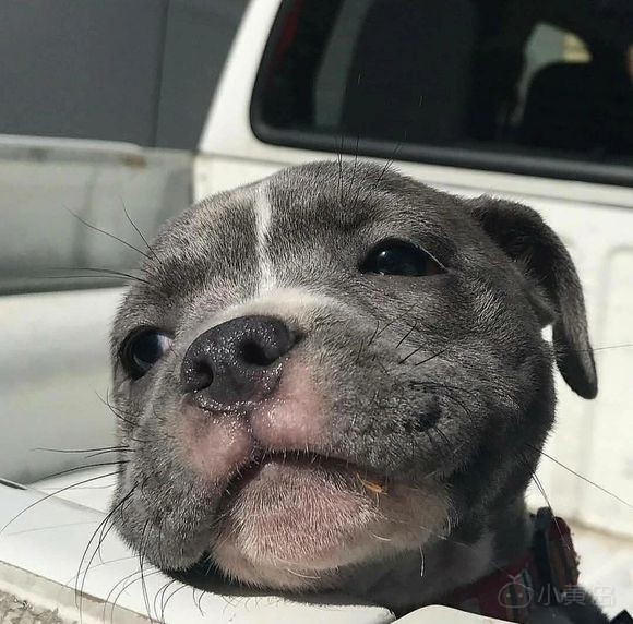 不知道岔河大帝国有没有开始？好怀念那一条条的小胡同里，传来的