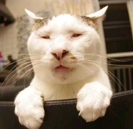 有木有在中科华联的兄弟