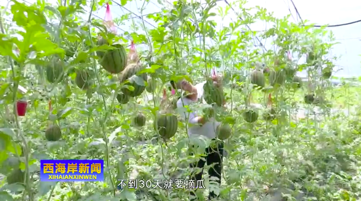 屏幕快照 2018-07-28 下午6.46.14.png