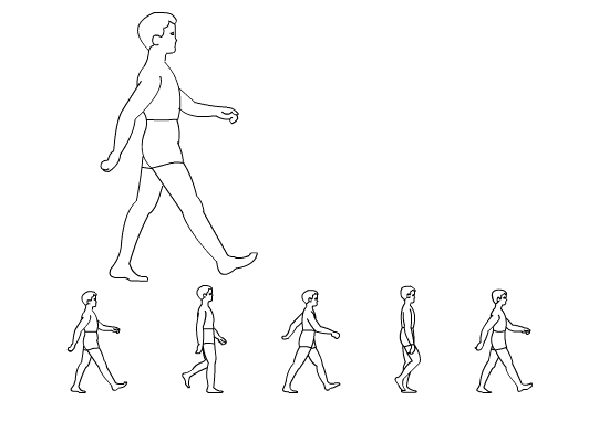 timg (3).gif