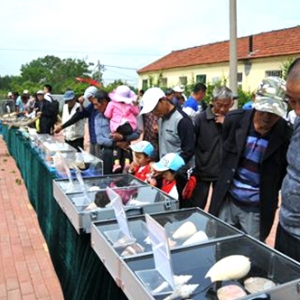 市区科技局联合开展送科技卫生下乡助力扶贫