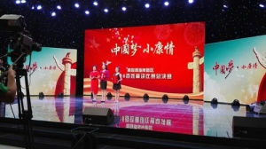 新区“中国梦 小康情”百姓宣讲比赛一等奖花落杏林