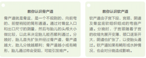 你，顺产吗