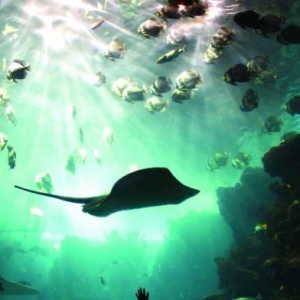 “宝贝，你真棒”是孩子一生的魔咒？