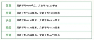 11-12个月宝宝身体生长能力发育标准