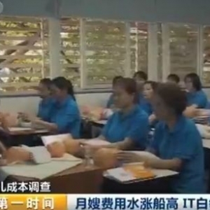 月薪2万3女白领转行做月嫂 你还淡定吗？