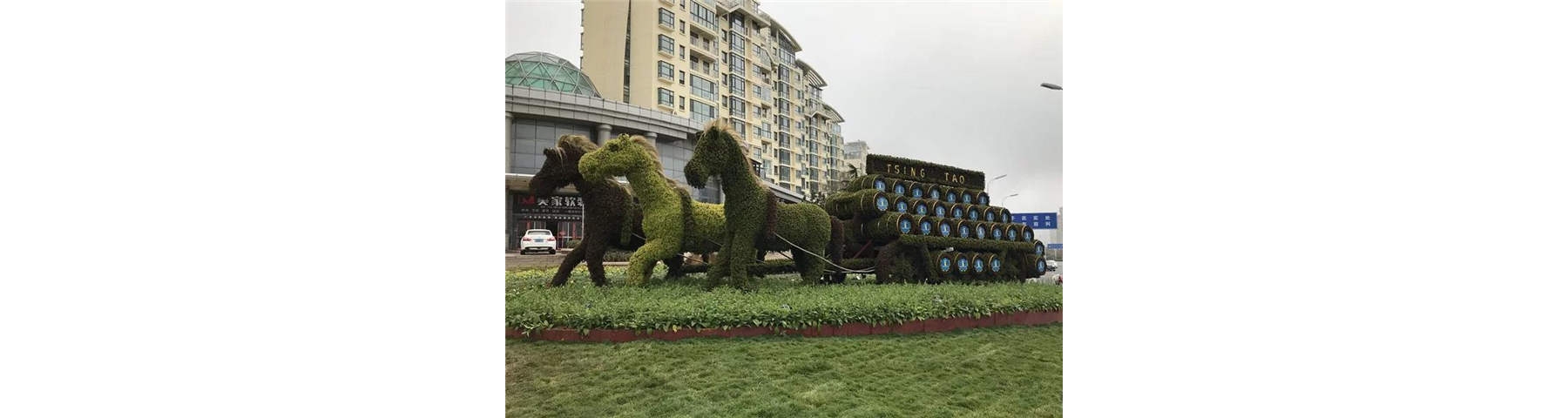 园林部门近期对青岛啤酒节会场周边主要绿地景观进行精细化养护