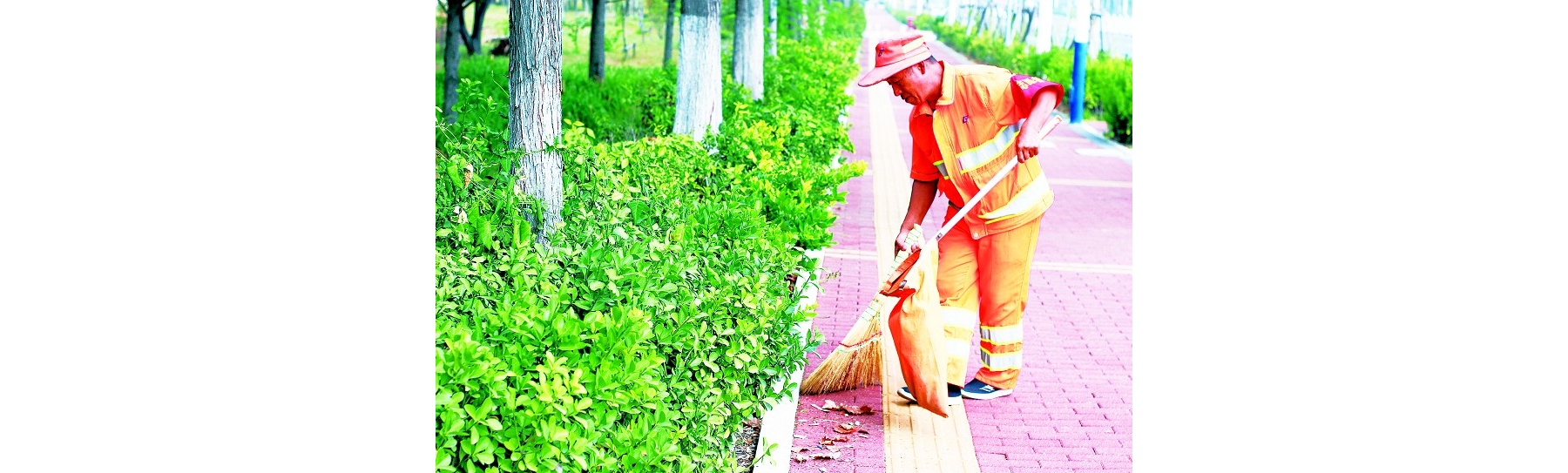 打好农村人居环境整治攻坚战