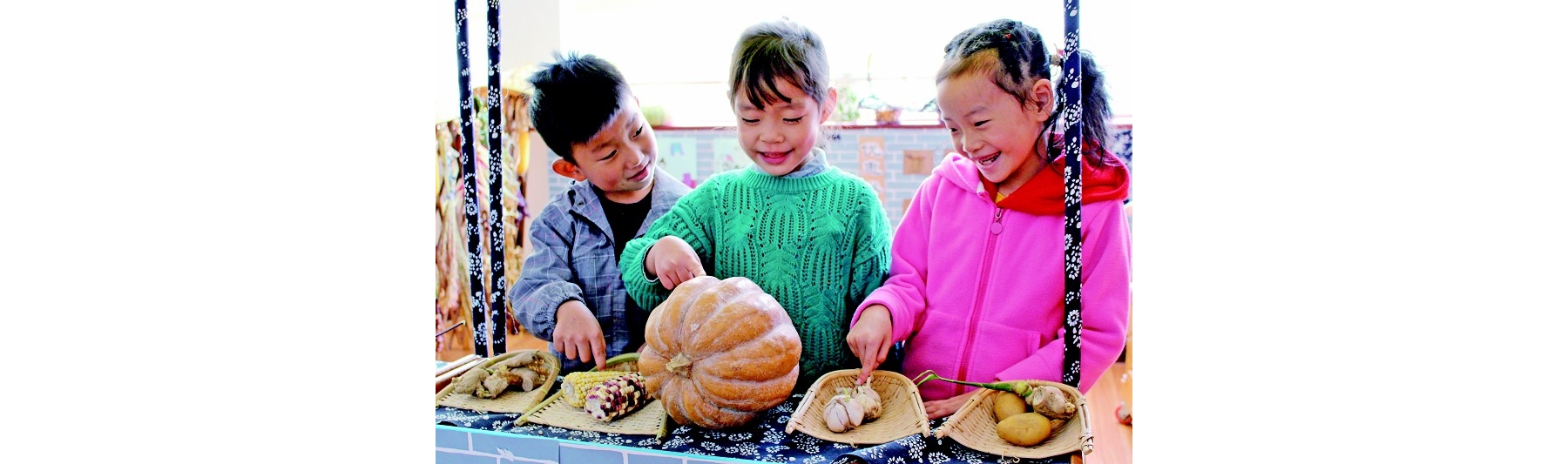 爱惜粮食从我做起