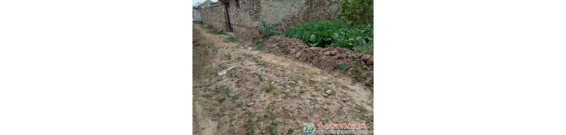 六汪镇：办好百姓身边事 ——网格员为民解难题