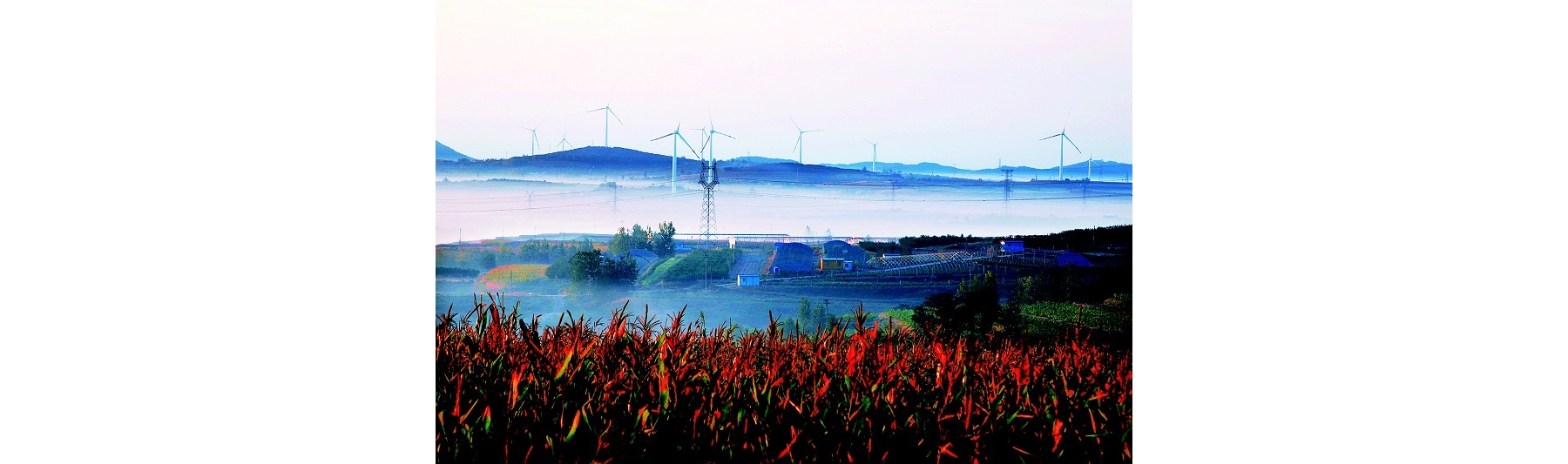雾笼乡村宛若仙境