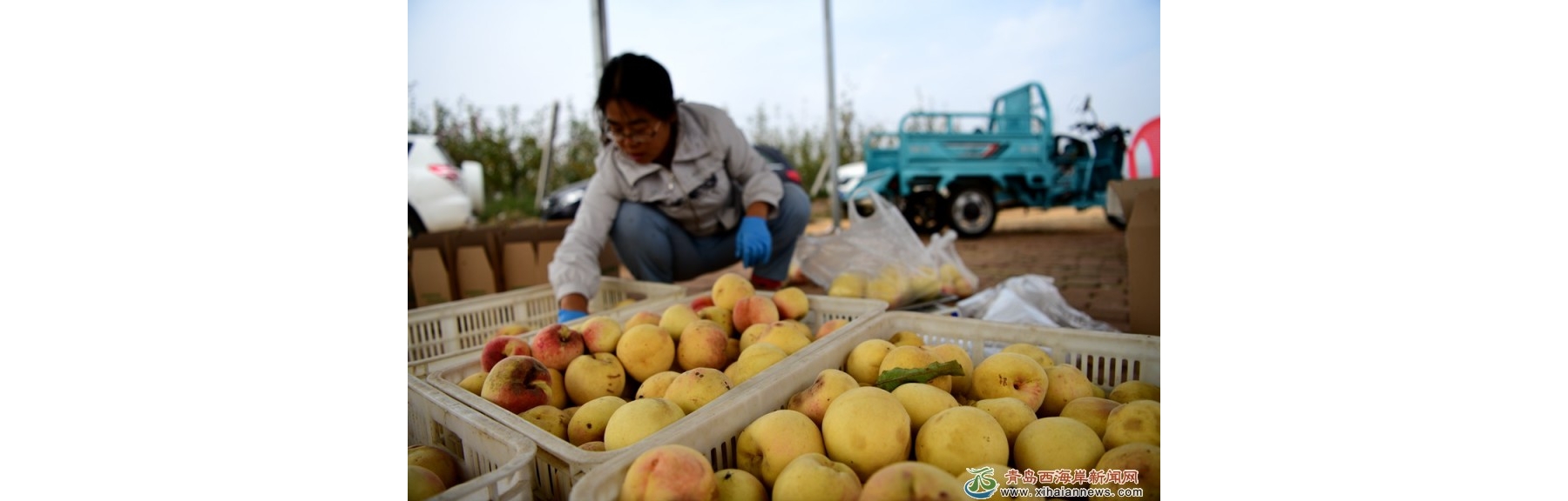 “影视村”的“生态经”