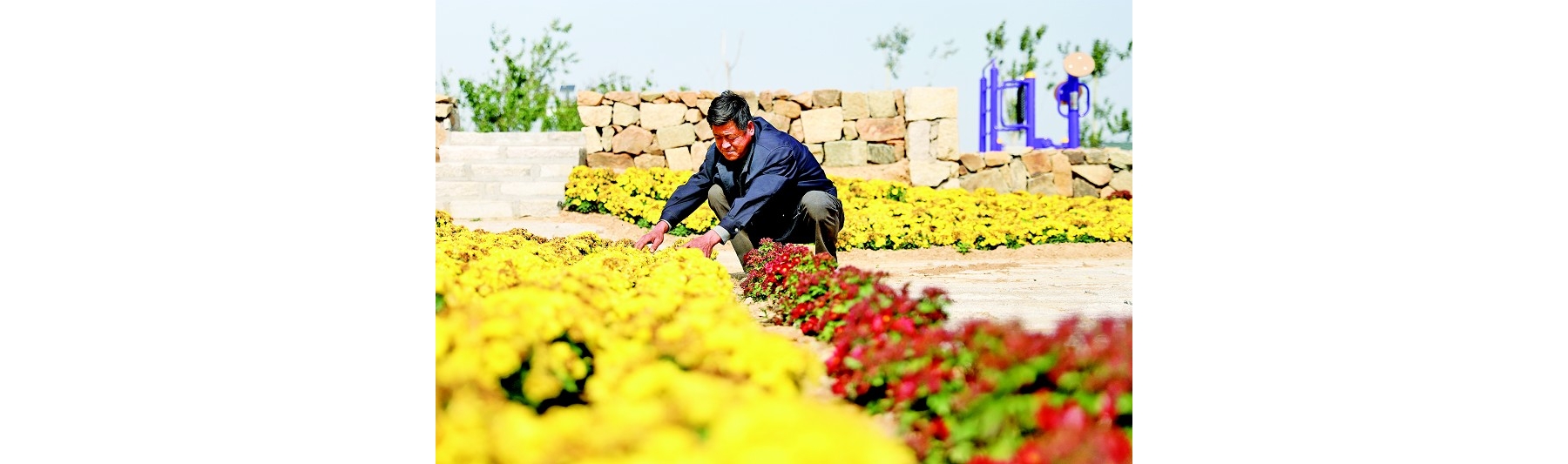 拆违补绿 这个村“一家一景”