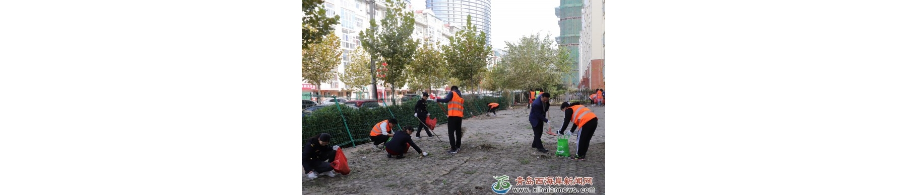 志愿服务党员先行