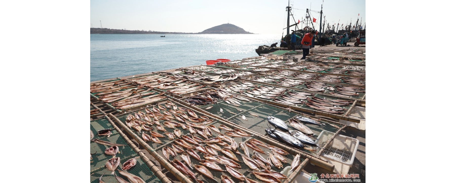 琅琊港畔晒鱼忙