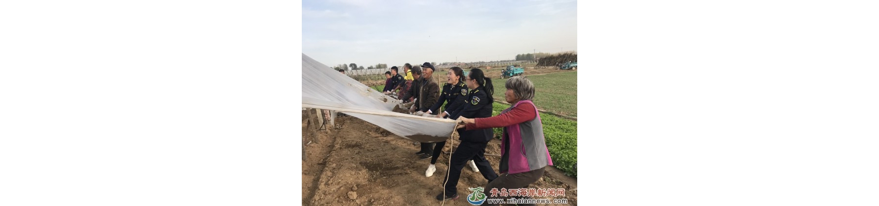 农业发展新思路 创新推广惠三农