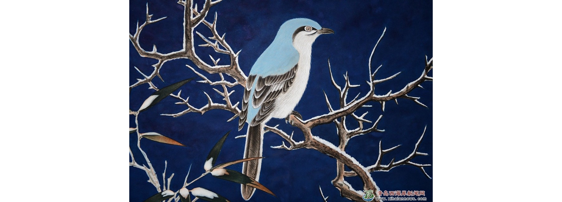 花鸟世界的“富足精神”