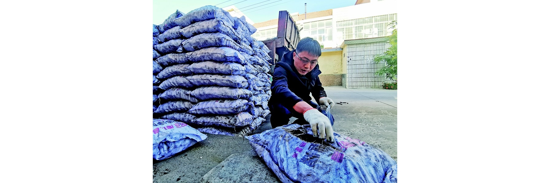 力保群众过上“绿色暖冬”