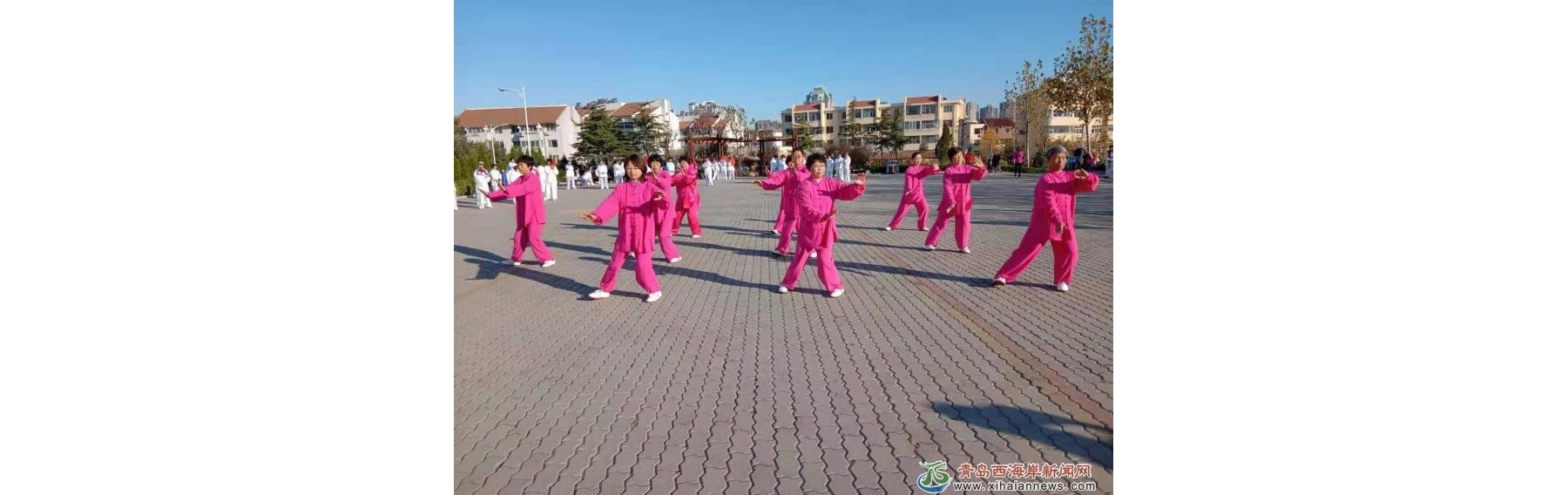 长江路街道2019年“太极拳之乡”创普验收