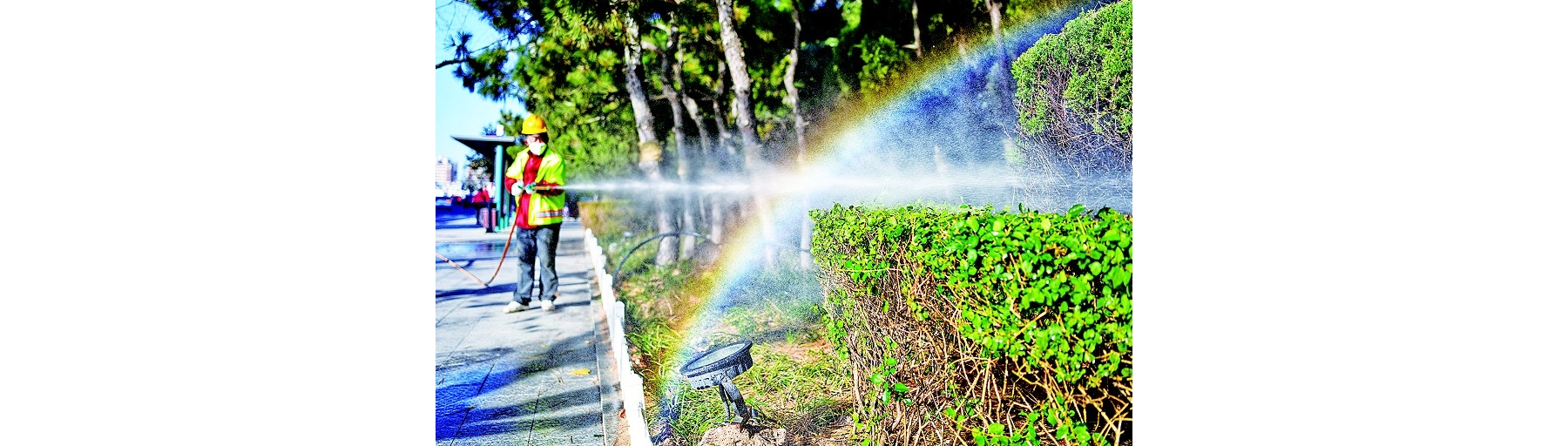 喷洒防冻液 灌木好过冬