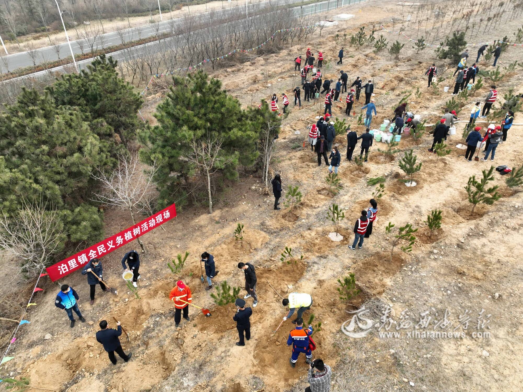 携手植树增绿，共建美丽新区