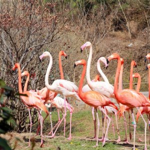 动物世界“上新”啦