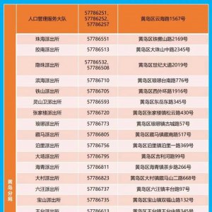青岛黄岛区户政服务窗口咨询电话
