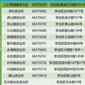 青岛李沧区户政服务窗口咨询电话