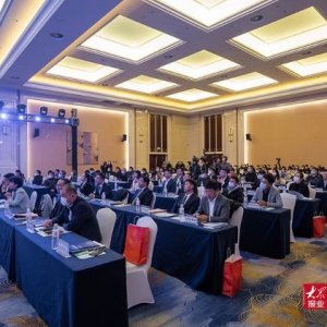 68项重点会展活动重磅发布！青岛西海岸新区打造最美会展海岸带