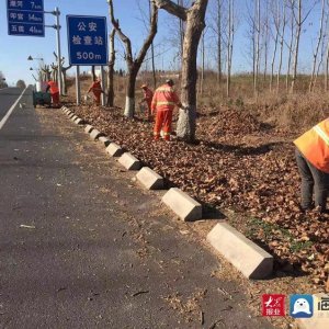 青岛西海岸新区交通运输局启动冬日护绿专项行动 为行道树“穿棉衣”