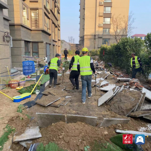 青岛西海岸新区隐珠执法中队坚持整治问题“回头看” 清理小区圈占绿地42处