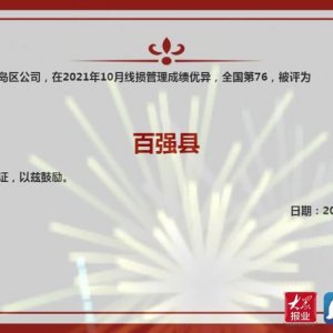 国网青岛市黄岛区供电公司：党建引领抓线损 凝心聚力显成效