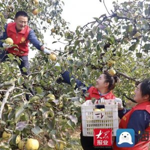 为群众办实事 青岛真情巴士爱心助农