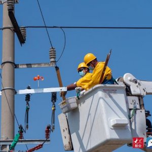 国网青岛市黄岛区供电公司：“三个提早”强配网 全面提升供电可靠性