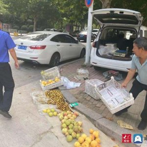 青岛西海岸新区隐珠执法中队聚焦“十乱”整治 以靓丽市容迎接国庆假期