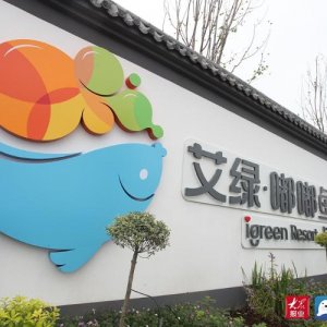 鱼台县又添新景区 “艾绿·嘟嘟鱼花园”十一试营业