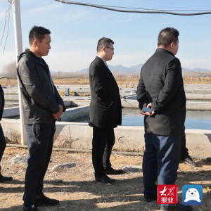 青岛西海岸新区大村镇：企业家组团考察 共话村庄发展