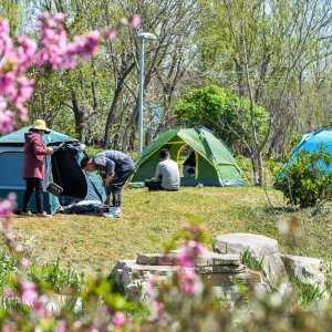 青岛西海岸新区：“五一”接待游客约37万人，民宿游露营游等成新亮点