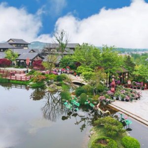 “百花盛宴”邀您寻芳