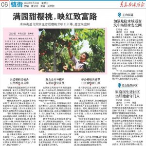 满园甜樱桃，映红致富路！珠海街道北梁家庄首届樱桃节5月21日开幕