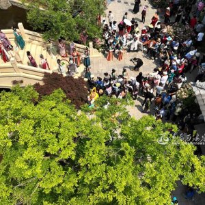 中华花朝节绽放青岛西海岸新区