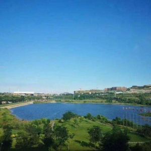 青岛市黄岛区柳花泊办事处——柳东村