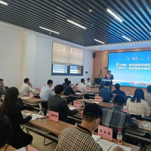 区招才中心：搭建对接交流平台，力促人才项目落地