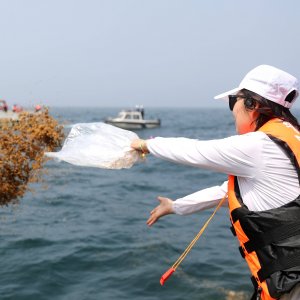 7000多万尾鱼虾蟹苗“播种”大海！西海岸新区开展渔业资源增殖放流活动