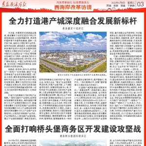 西海岸改革访谈：青岛董家口经济区｜青岛桥头堡国际商务区