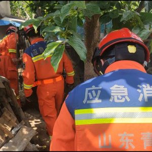 鸡窝里惊现蛇出没 黄岛消防抓蛇解民忧